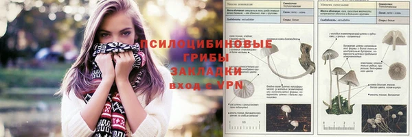 спиды Беломорск