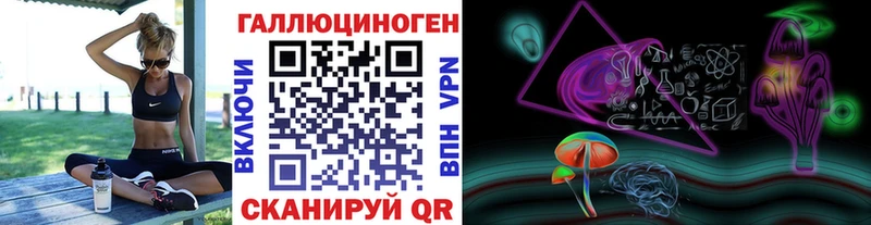 Псилоцибиновые грибы Psilocybe  Славгород 