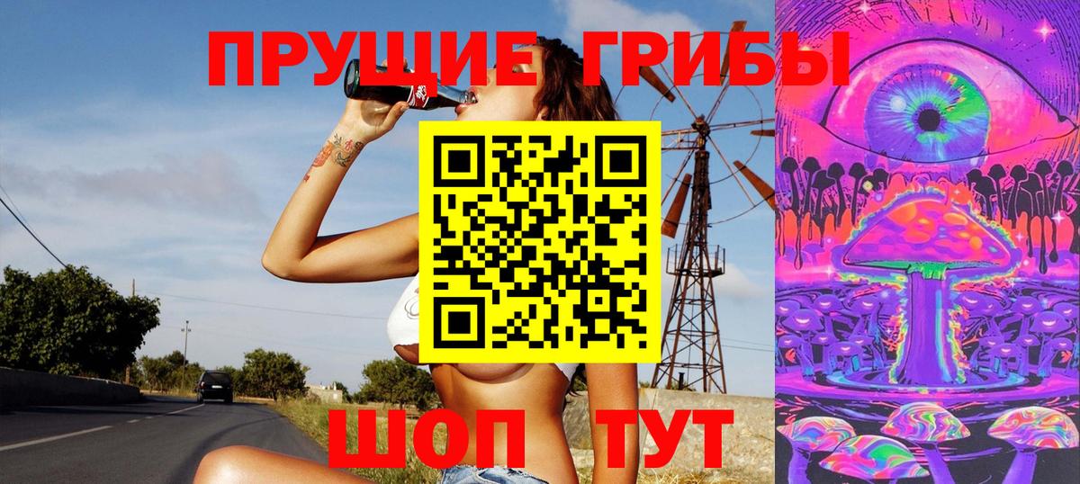 Славгород  Галлюциногенные грибы MAGIC MUSHROOMS  как найти закладки  Вход с VPN 