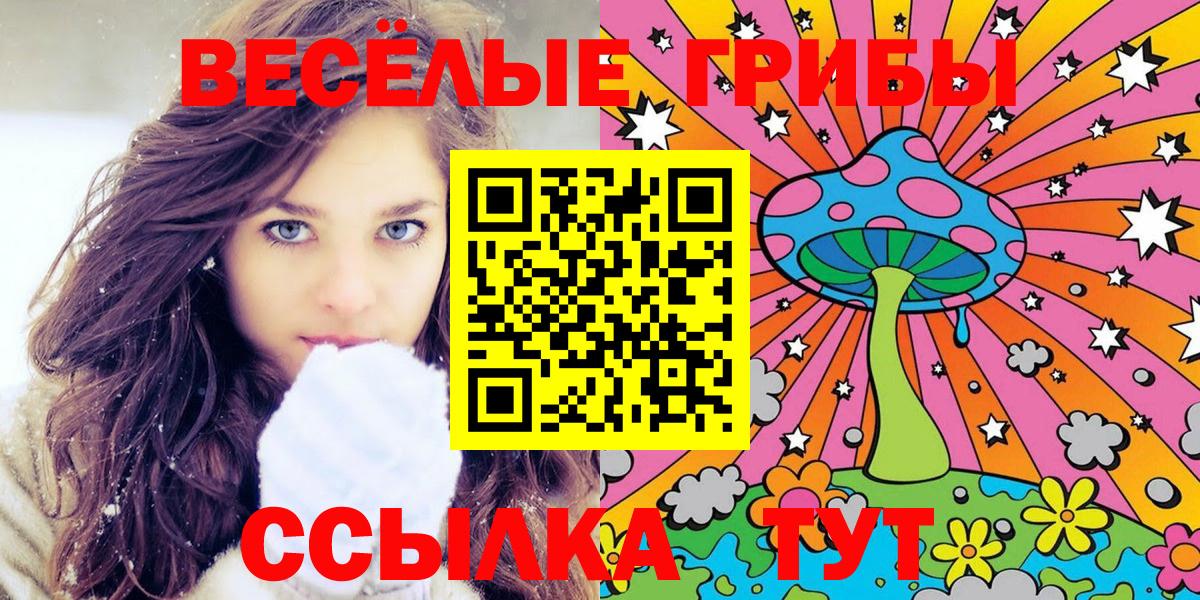 Галлюциногенные грибы Cubensis Славгород